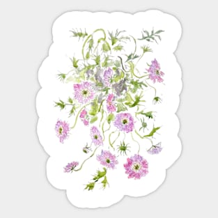 magenta scabious ink and watercolor Sticker